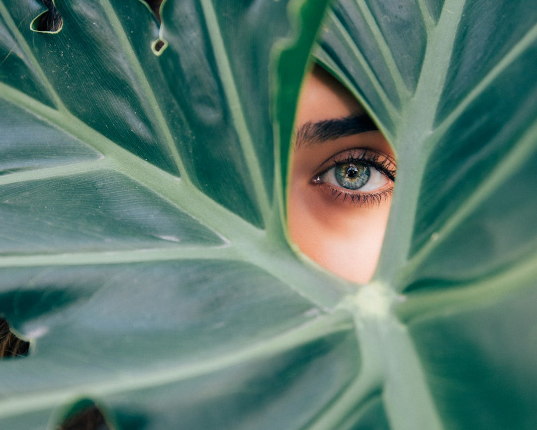 Les Secrets d’une Démo Produit Réussie pour des Cosmétiques Éclatants