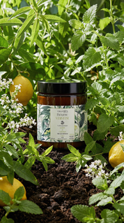 Beurre Verveine - Édition Limitée