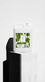 Huile de Pépins de Raisin – Neutre & 100 % Naturelle 5L