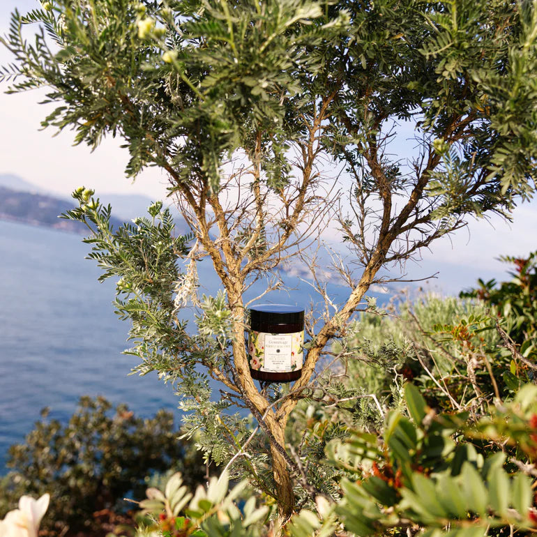 Neroli_5.webp