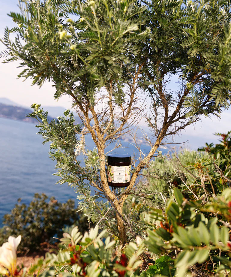 Neroli_5.webp