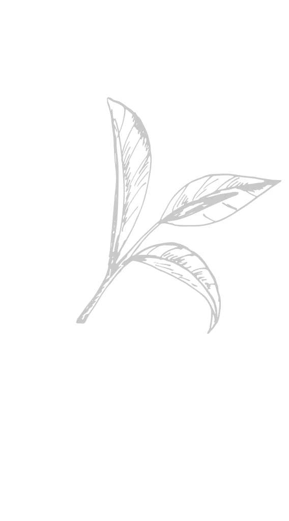 aaaa.webp